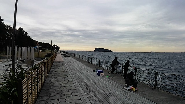 横須賀海辺釣り公園の混雑状況