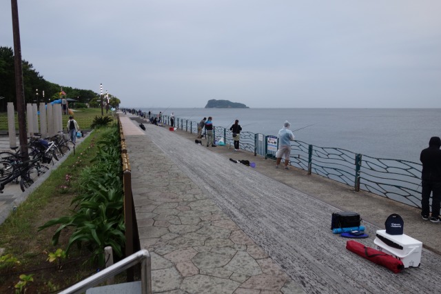 横須賀海辺釣り公園の混雑状況