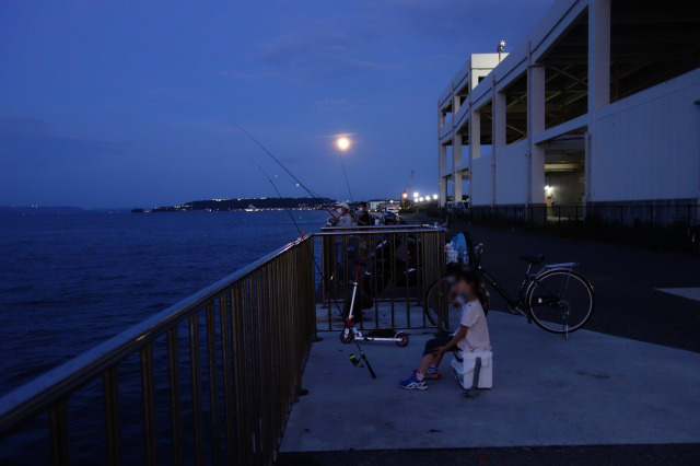 夕暮れに釣りをする娘の写真