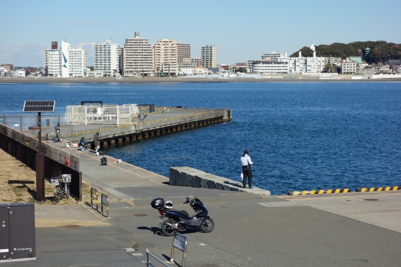 江ノ島湘南大堤防の釣り状況の写真