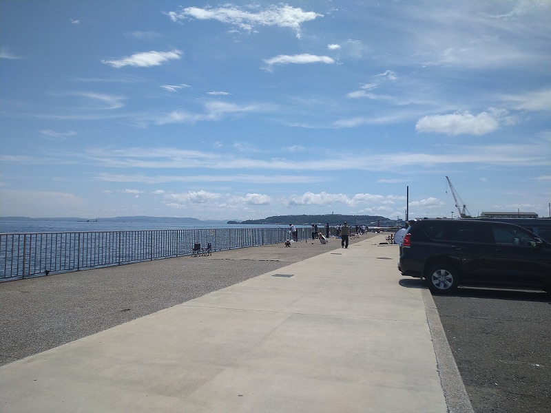 うみかぜ公園の釣り混雑状況