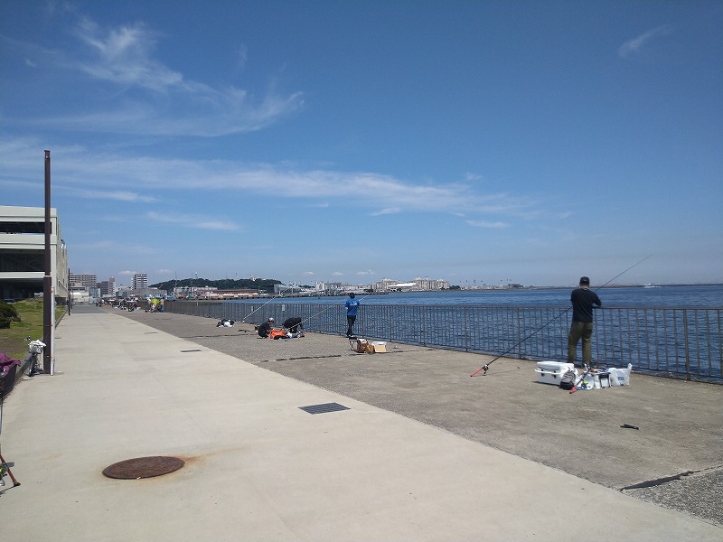 うみかぜ公園の釣り混雑状況