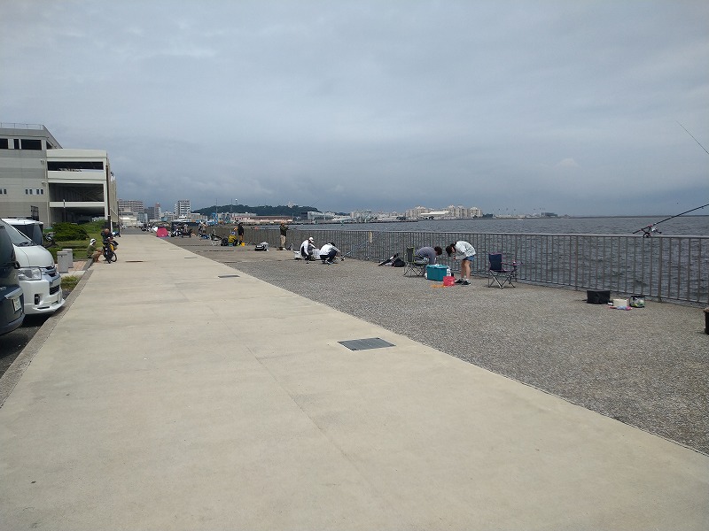 うみかぜ公園の釣り混雑状況