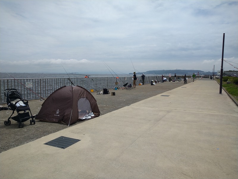 うみかぜ公園の釣り混雑状況