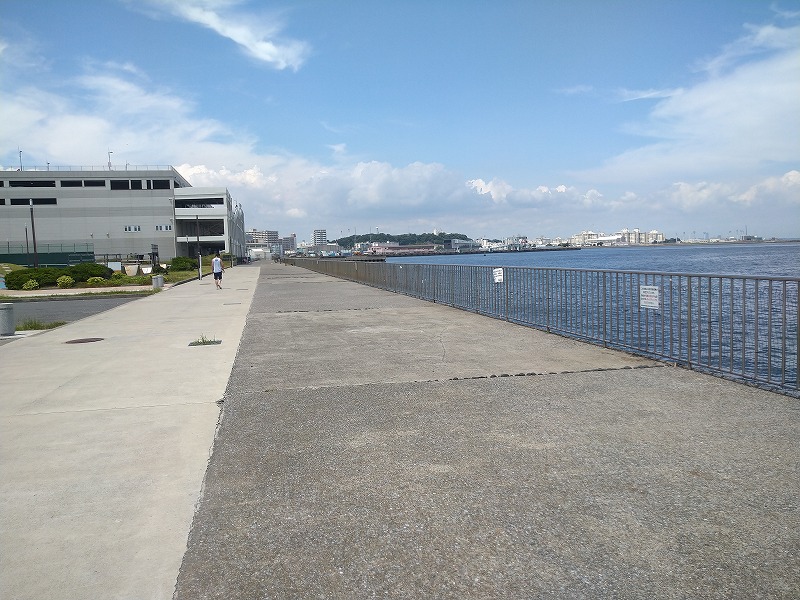 うみかぜ公園の釣り混雑状況