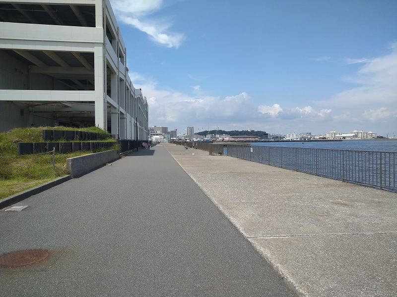 うみかぜ公園の釣り混雑状況