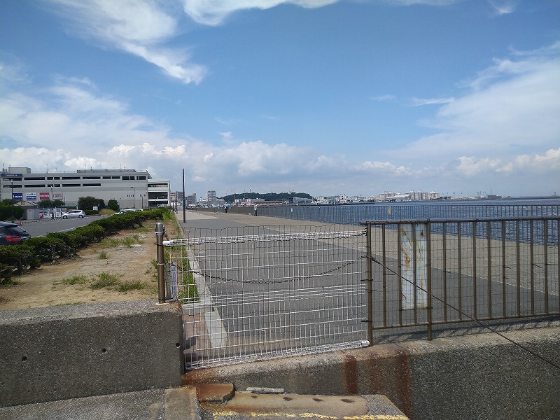 うみかぜ公園の釣り混雑状況