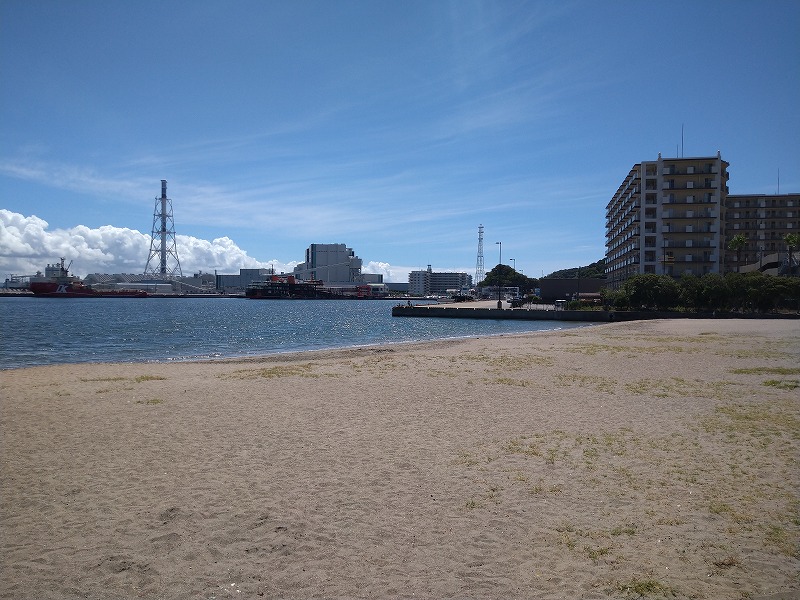 久里浜港の釣り人、BBQの混雑状況を見に行ったがガラガラでした。