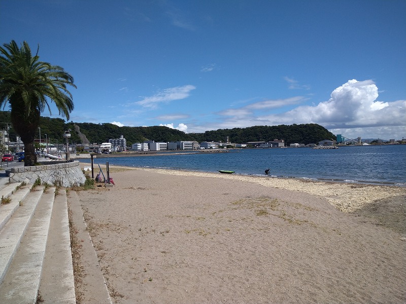 久里浜港の釣り人、BBQの混雑状況を見に行ったがガラガラでした。