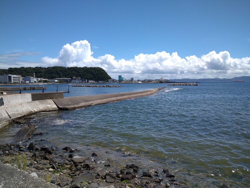 久里浜港の釣り人、BBQの混雑状況を見に行ったがガラガラでした。