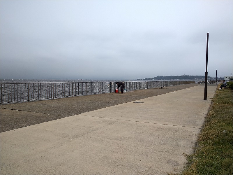 うみかぜ公園の釣り混雑状況