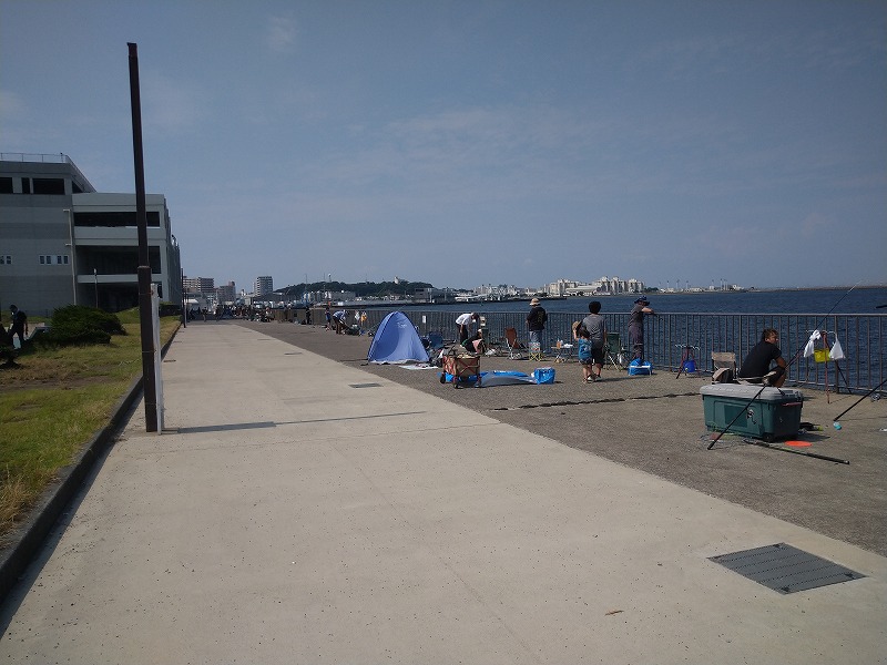 うみかぜ公園の釣り混雑状況