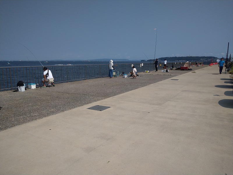 うみかぜ公園の釣り混雑状況