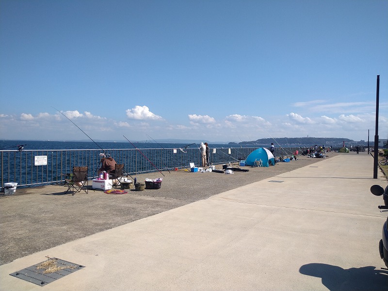 うみかぜ公園の釣り混雑状況