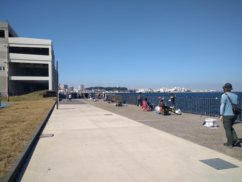 うみかぜ公園の釣り混雑状況