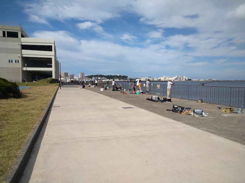 うみかぜ公園の釣り混雑状況