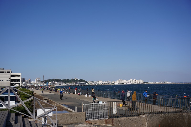 うみかぜ公園の釣り混雑状況