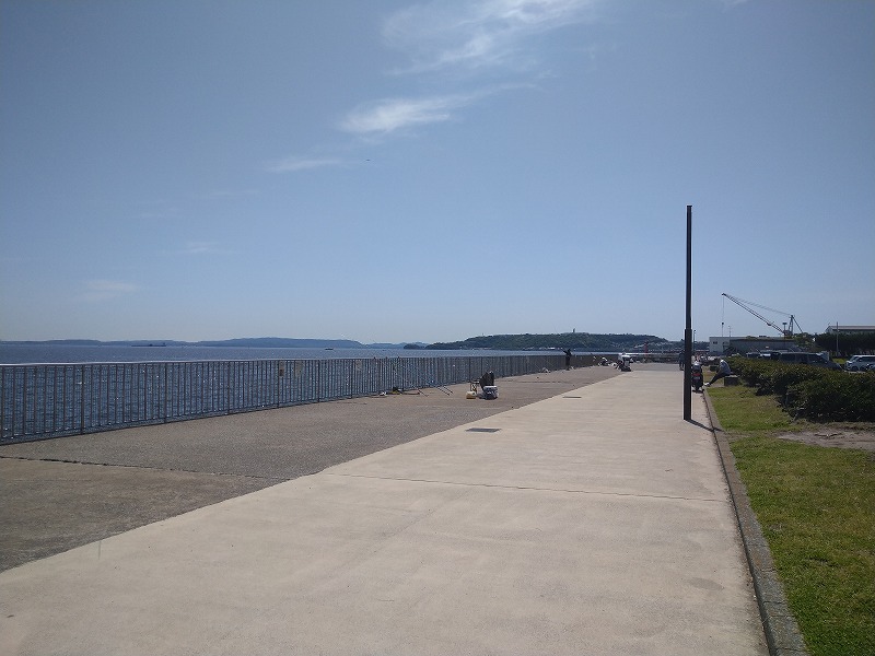 うみかぜ公園の釣り混雑状況