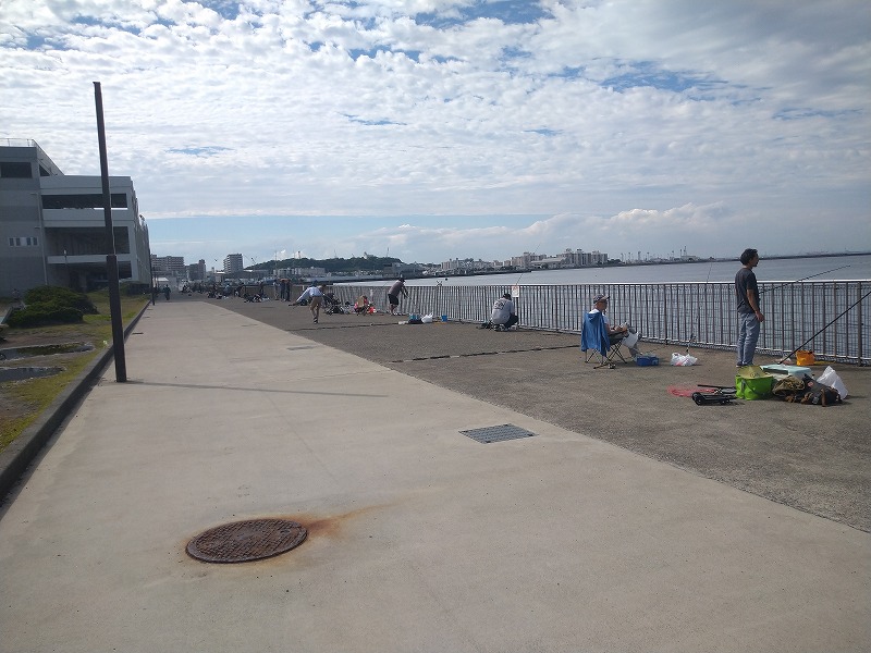 うみかぜ公園の釣り混雑状況