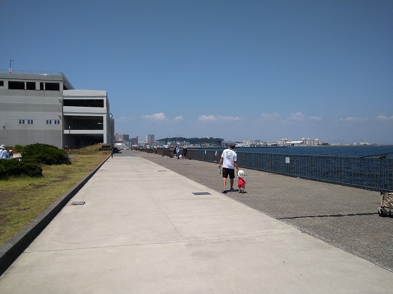うみかぜ公園の釣り混雑状況