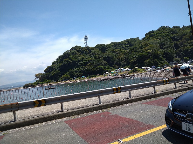 観音崎公園の混雑状況