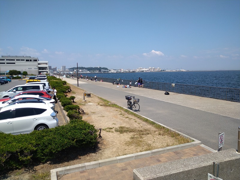 うみかぜ公園の釣り混雑状況
