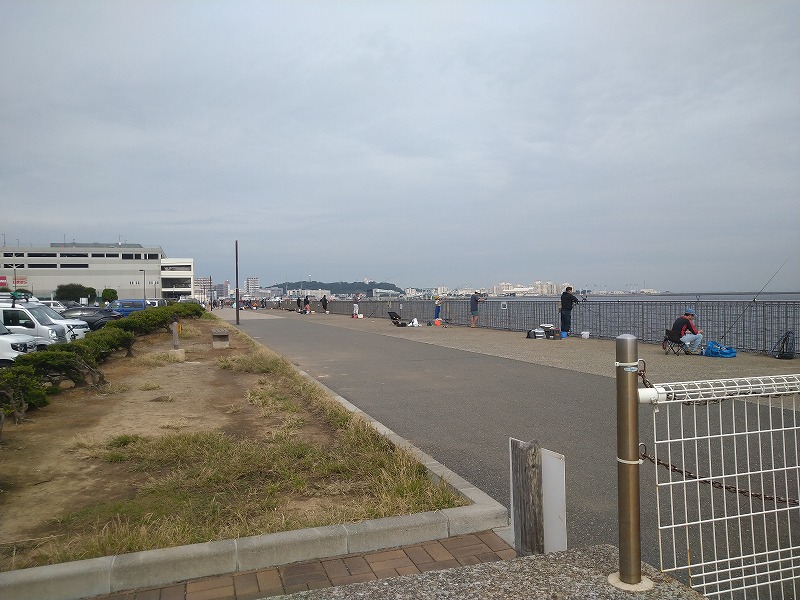 うみかぜ公園の釣り混雑状況