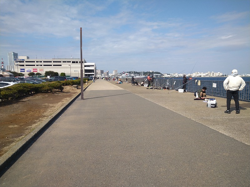 うみかぜ公園の釣り混雑状況