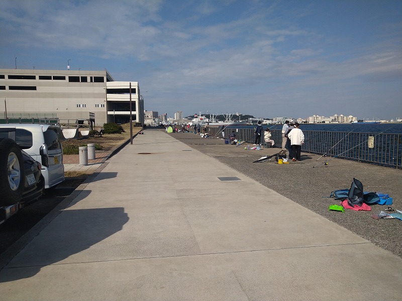 うみかぜ公園の釣り混雑状況