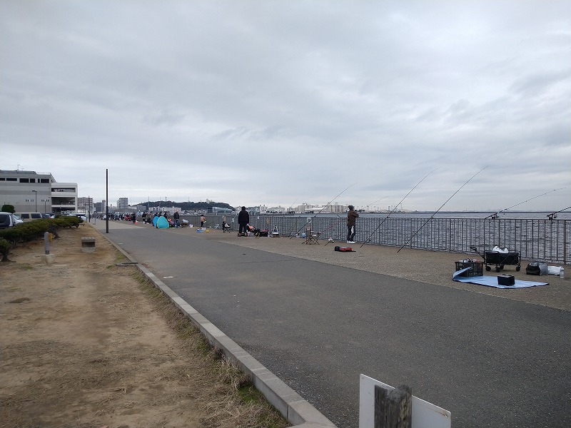 うみかぜ公園の釣り混雑状況